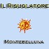 Il Risuolatore